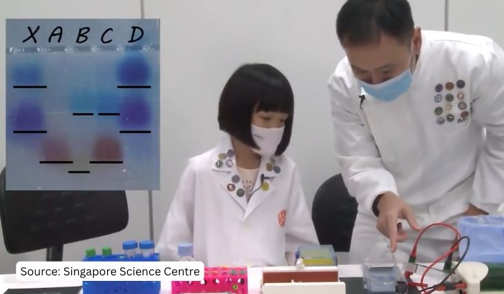Elizabeth observing a gel electrophoresis experiment during the Young Geneticist programme