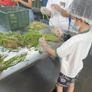 Food Preparation at a Soup Kitchen